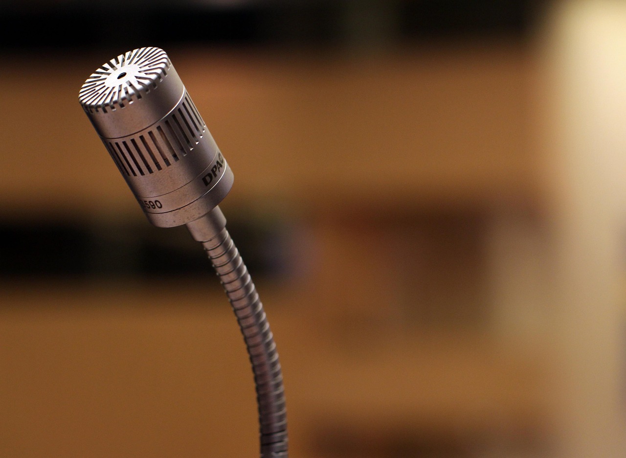 The Rise of Voice Search: Adapting Your Website for Voice-Activated Devices